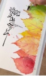 수채캘리