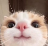 서!!