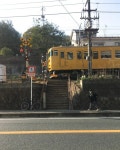 일본