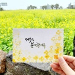 캘리그라피 수채화 엽서