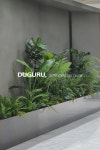 * Project : 캔탑스 * Client : 노을디자인 * Type : Artificial Plants * Location : 경기도 수원시 영통구 덕영대로 1556번길 16 I N T E R S C A P... 