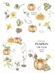Watercolor Field Flowers Collection Ideas de fondos de pantalla에 있는 Guadalupe님의 핀