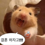 내만내짤