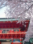 원래 소재지가 지금의 청와대 자리였던 위 문화재는, 1928년 일본 동단인 진언종 측에 무상으로 대여된 후 해체되어 일본식 사찰 용광사(지금의... 