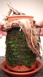 [ENG] 동화 속 숲속 테라리움 | 테라 베이스 | 물멍 | LittleForest Terrarium | DOOA TERRA BASE | MulMung 동화 속 숲속... 