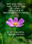 일요일