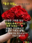 적보다 우선 동료를 만드세요. 경쟁하기보다 협력하는 것이 좋아요. ★ #좋은글 좋은글귀 어플 구글 플레이 스토어에서 다운로드 받으세요