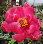 만고절색 호남의 소금강··· 모든풍경이 그림이네