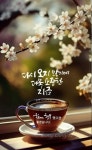 주말 알차게 보내기~
