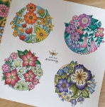 #비밀의정원#컬러링북 #컬러테라피 #SecretGarden