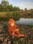 Пин от пользователя 이은주 на доске Monkey | Орангутанг, Обои, Картинки