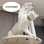 냥냥펀치
