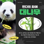 브랜딩하는 일러스트레이터, 보라이어티 on Instagram: #일러스트명함 #리틀브릭 광주 양림동에 위치한 리틀브릭. 너무 예쁜 외관을 전면에 넣고... 