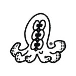 쭈꾸미