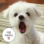 우리 사이에 무드가 어디 있어