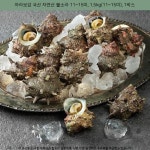 뿔소라