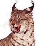 Pin by 정리 중 on 퍼리,수인 | Furry art, Characters inspiration drawing, Furry drawing