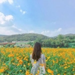 인천항 주변 개항장 개항누리길 1편 | 인천 가볼만한곳