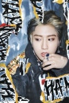 Stray Kids (스트레이 키즈) Han Jisung (한지성) | Stray, Felix stray kids, Baby squirrel