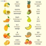 Top 10 스페인어 배우기 ideas and inspiration