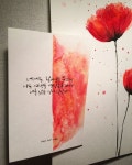 레드