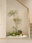 planterior 마초의사춘기 플랜테리어 planterior 마초의사춘기 플랜테리어 | Experience design, Macho, Design