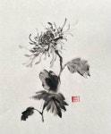 국화 (Chrysanthemum, 菊花, きくのはな, 사군자, 문인화, 동양화, Oriental Painting)