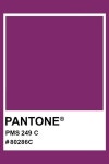 Pantone Toffee | 색상, 색상 팔레트, 색 코드
