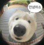 장례식장 다녀왔다가 친구에게 절교 당했습니다... 이유가 너무 충격이네요..