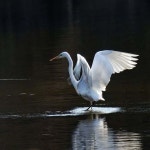 Skill Test 37 - 도구 및 용도 (제조업, 쉬운 버전)