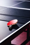 탁구 (Ping pong)