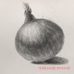 양파 소묘