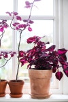 Pin page Pin by JOOYOONSIL on 플라워 in 2025 | Flower vase arrangements, Beautiful flower arrangements, Flower arrangements diy