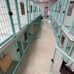 비포 앤 애프터