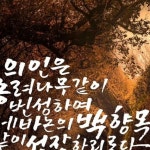 종려나무