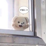 모두에게 사랑받을순 없다는걸 받아들여야해요 모두에게 사랑받을순 없다는걸 받아들여야해요 | 귀여운 문자, 웃긴 밈, 웃긴 표지판