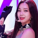 나비스 🦋