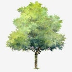녹색 그레이 식목일 일러스트 만화, 나무, 만화 일러스트, 식목일 PNG 일러스트 및 PSD 이미지 무료 다운로드 - Pngtree
