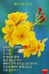아침 인사 인용구에 있는 Whang Yir님의 핀 | 아침 인사 인용구, 좋은 아침 인사, 아침 인사