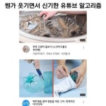 알고리즘
