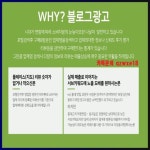 왕조동킥복싱 블로그광고 카톡 qzwxe18