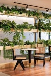 * Project : 이트너스 오피스 * Client : 핫디자인 * Type : Artificial Plants * Location : 경기도 과천시 과천대로7나길 60 과천어반허브 I N... 
