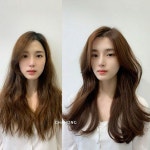 밤비브라운