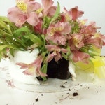 070-7677-9988 오시는길: 서울 은평구 은평로21길 6 (녹번동) 1층 온라인주문 : www.dessertsom.co.kr 카카오플러스친구 @dessert_som [택배,단체,예약ᄆ
