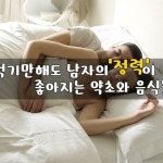 반디불이