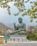 천안