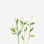 꽃향기 일러스트
