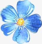 꽃일러스트 수채화