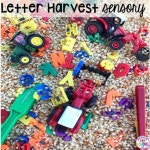 곡식#자연미술#단풍잎#은행잎#맞팔#선팔#안산#사랑유#사진#건과일#드라이플라워#아이폰6s | 유치원 아이디어, 교실 아이디어, 드라이 플라워