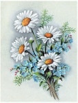 스트록기법,천아트기초,들꽃그리기... 야생화그리기, FlowersPainting,FabricPainting | 꽃그림, 캔버스 페인팅, 꽃 그리는 법